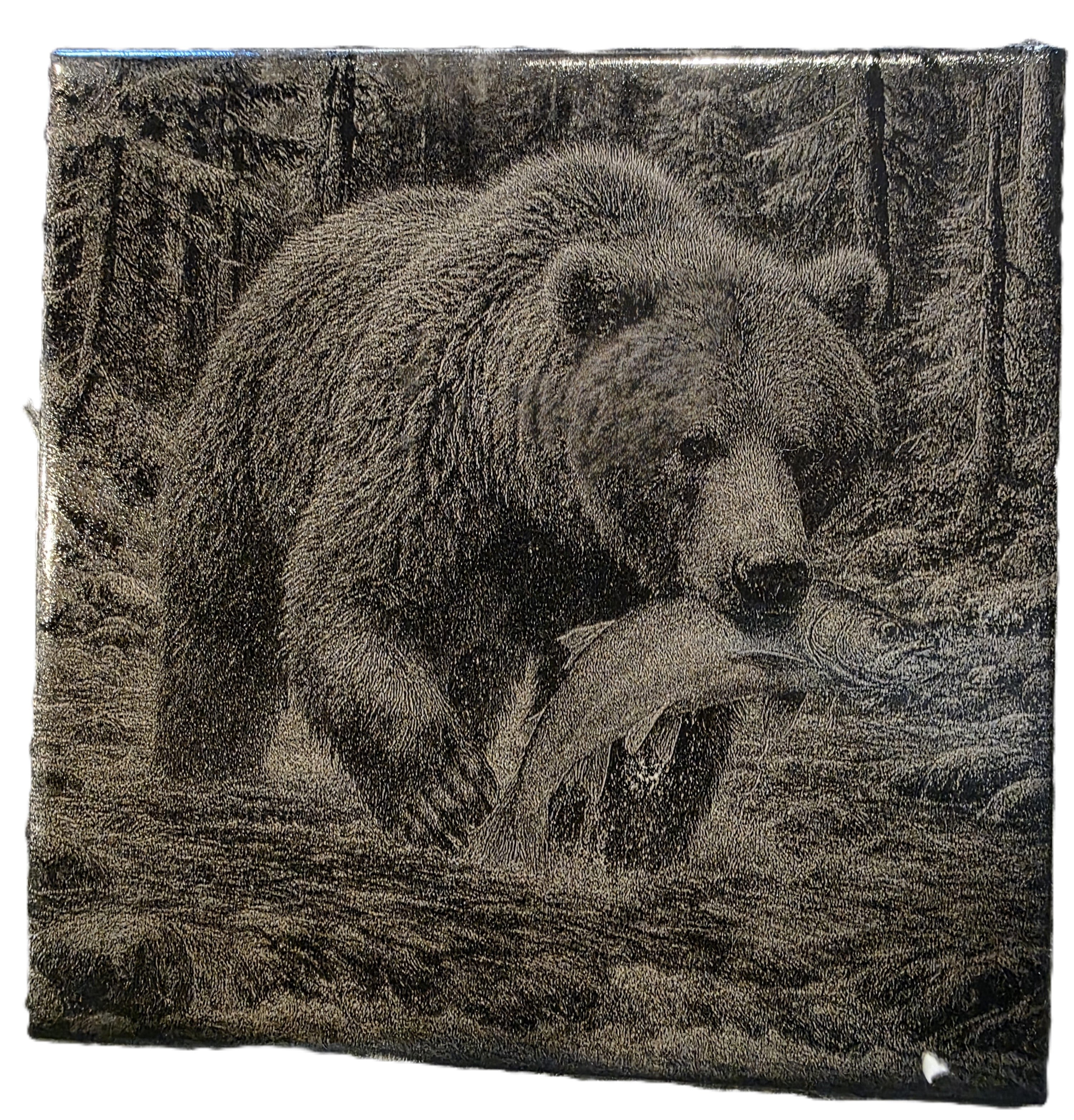 “Provision” – Wilderness Bear Engraving